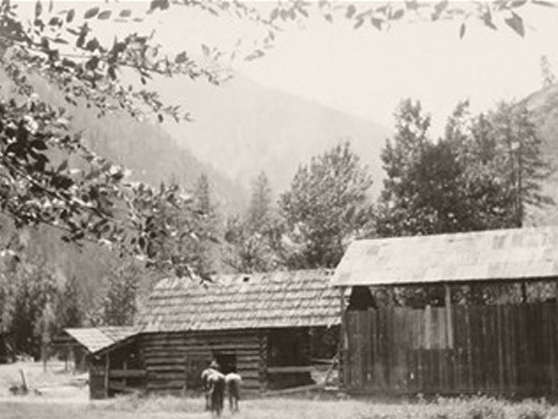 Horses beside the barn at Shepp Ranch.