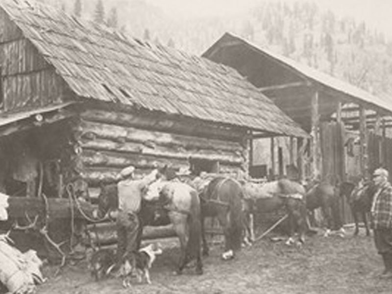 Horses are saddled beside the barn at Shepp Ranch.