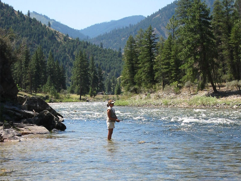 Fly fishing in the remote Idaho wilderness.