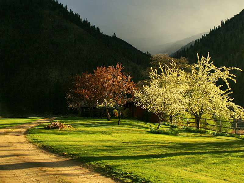 A rainstorm and the setting sun combine to make for some beautiful light at Shepp Ranch.
