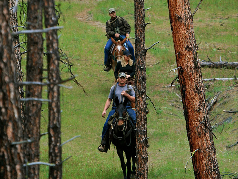 Riders on horseback.