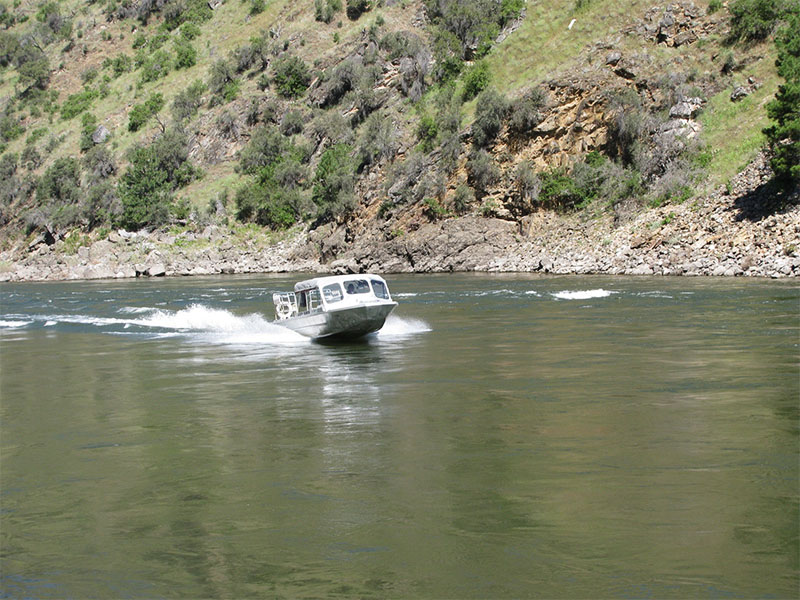A jetboat makes its way up the Salmon River.