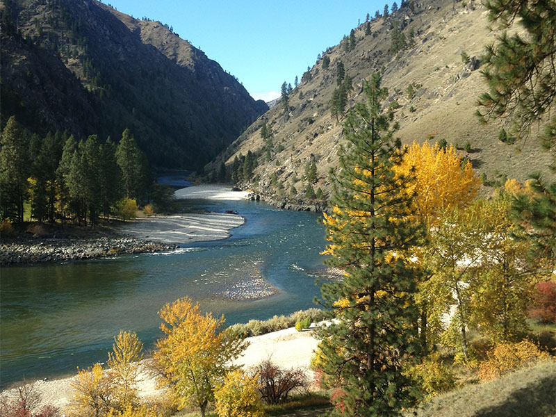 Autumn on the banks of the Salmon River.
