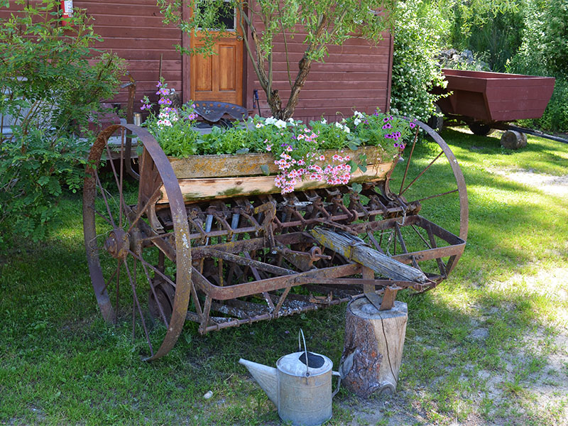 Summer flowers.
